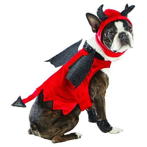 Top Pet Costumes
